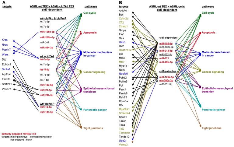 Int J Biol Sci Image