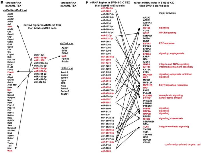 Int J Biol Sci Image