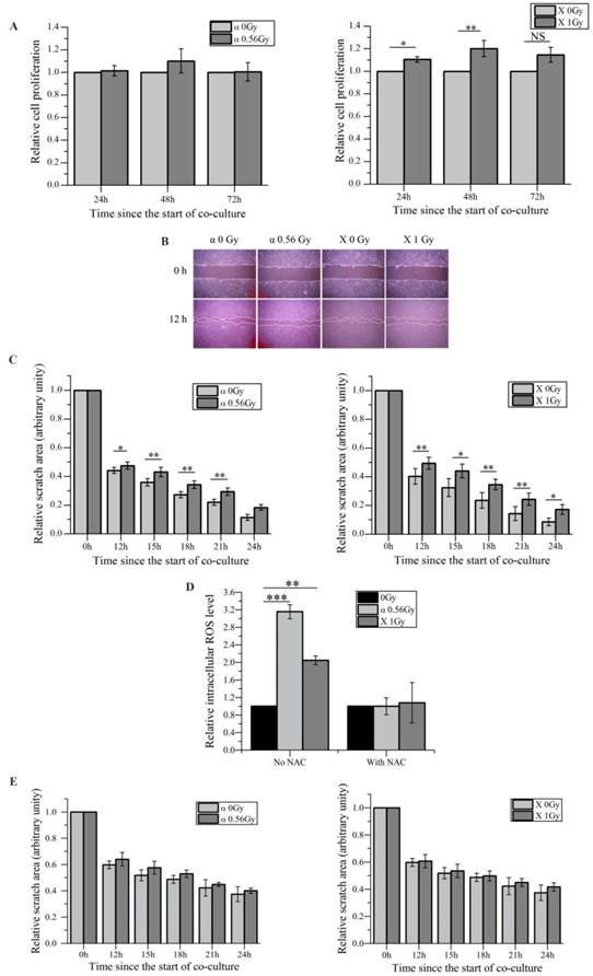 Int J Biol Sci Image