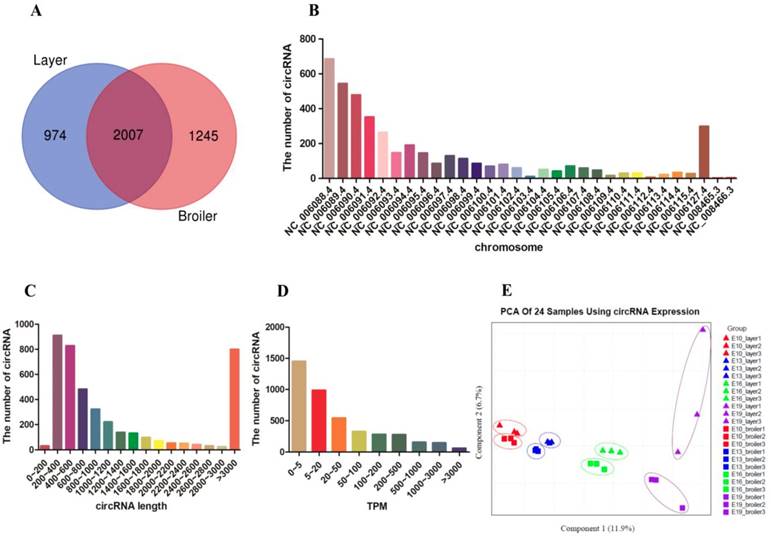 Int J Biol Sci Image