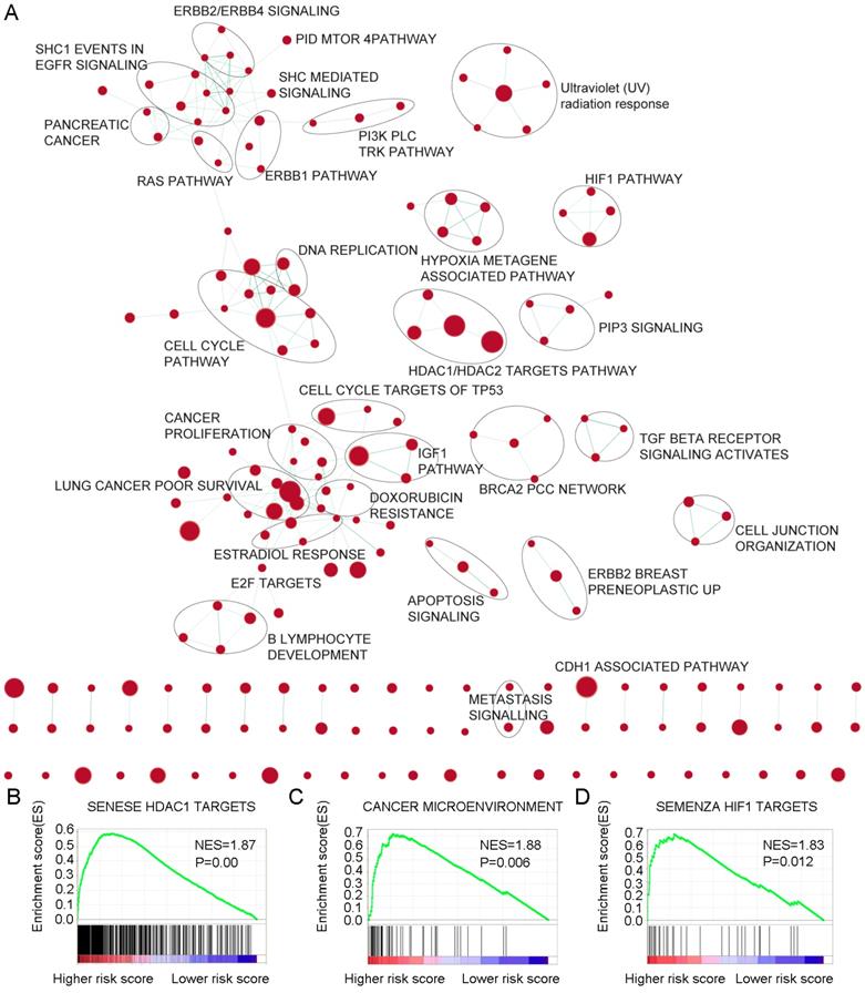 Int J Biol Sci Image