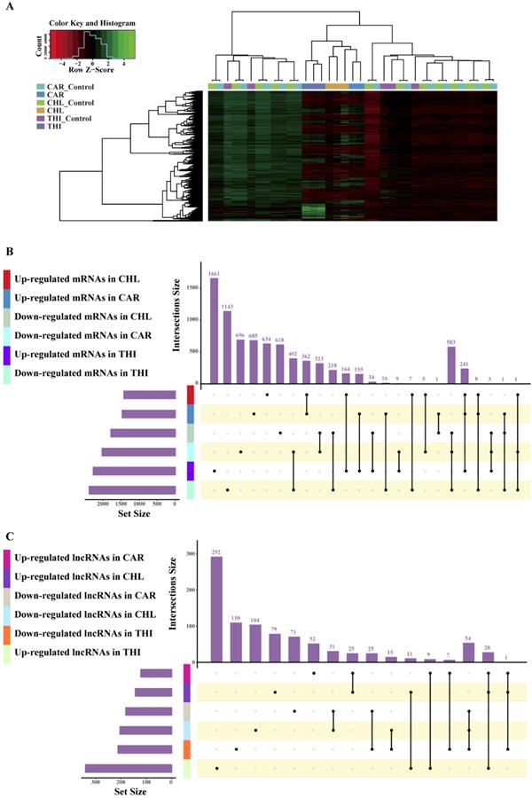 Int J Biol Sci Image