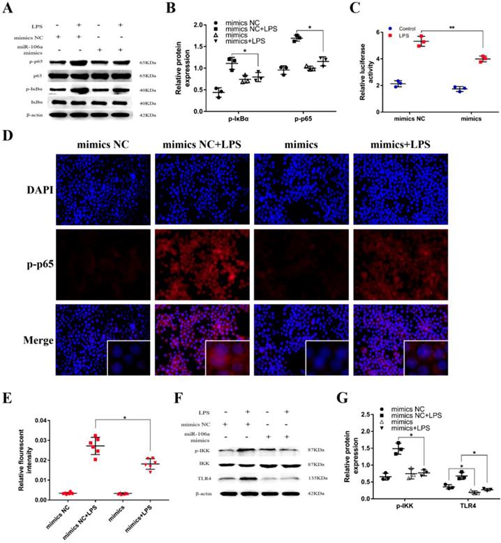 Int J Biol Sci Image