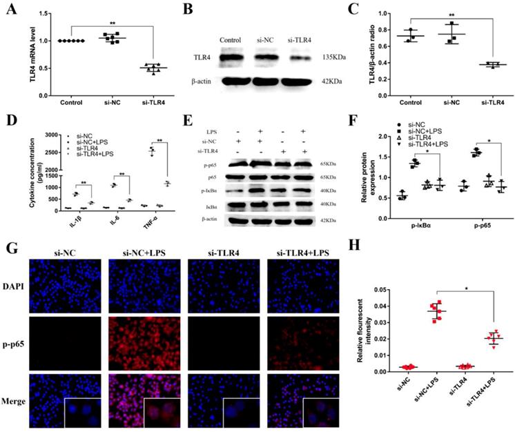 Int J Biol Sci Image