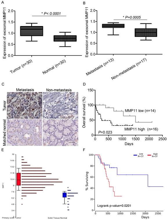 Int J Biol Sci Image