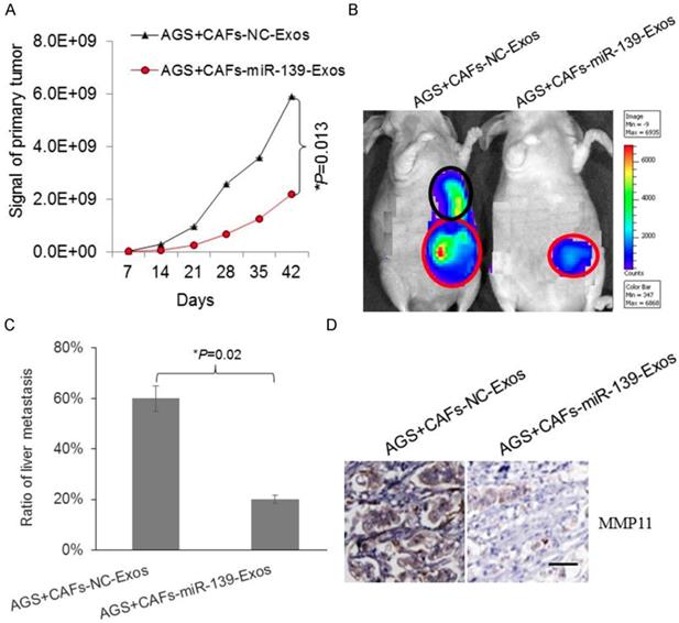 Int J Biol Sci Image