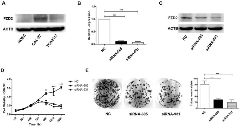 Int J Biol Sci Image