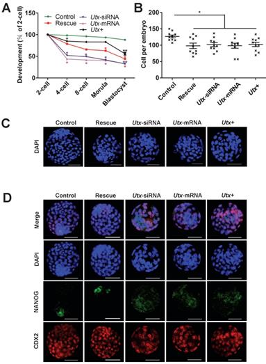 Int J Biol Sci Image