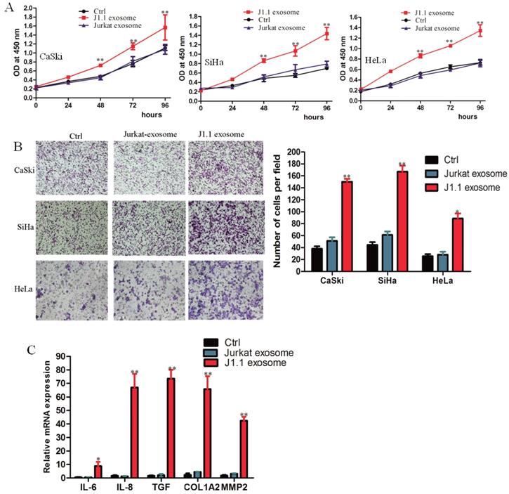 Int J Biol Sci Image