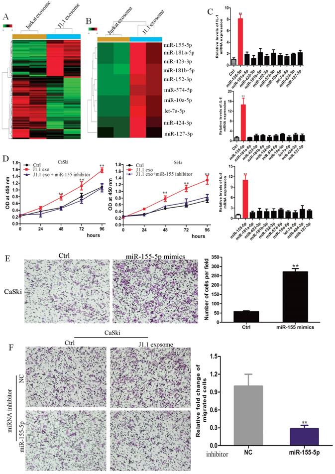 Int J Biol Sci Image