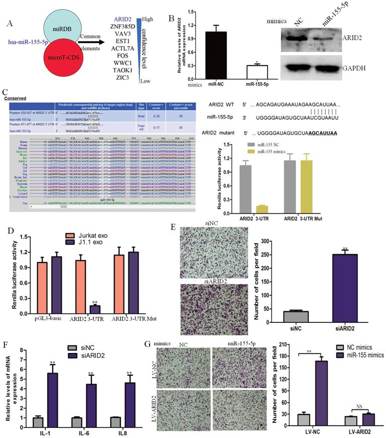 Int J Biol Sci Image