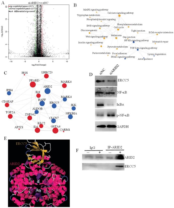 Int J Biol Sci Image