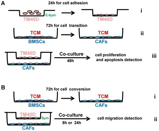 Int J Biol Sci Image