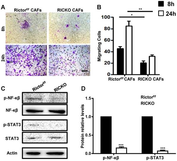 Int J Biol Sci Image