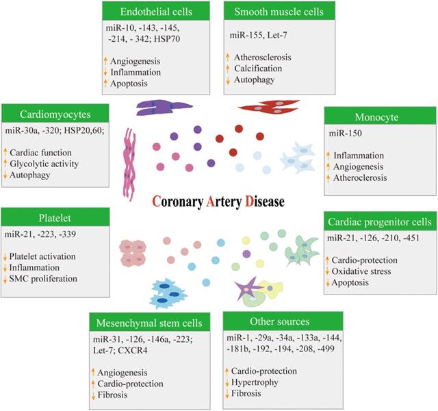 Int J Biol Sci Image