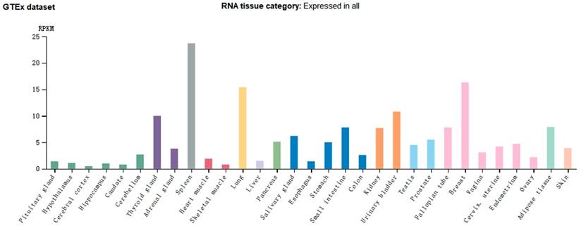 Int J Biol Sci Image