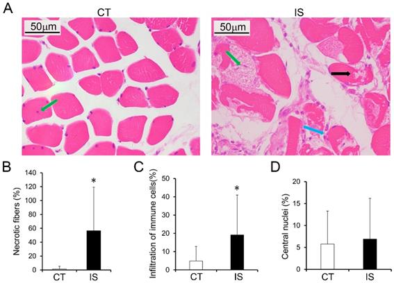 Int J Biol Sci Image