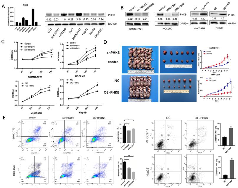 Int J Biol Sci Image