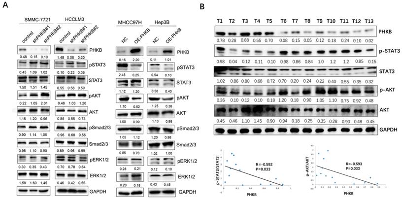 Int J Biol Sci Image