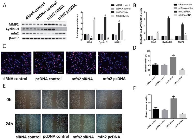 Int J Biol Sci Image