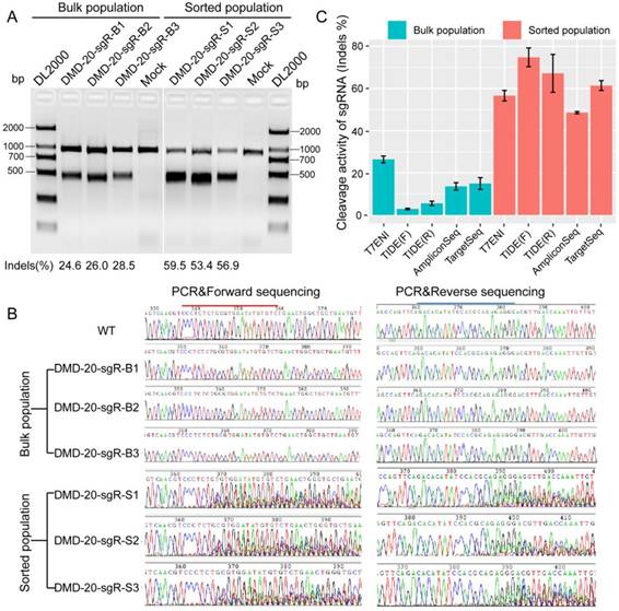 Int J Biol Sci Image