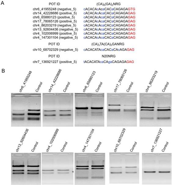 Int J Biol Sci Image