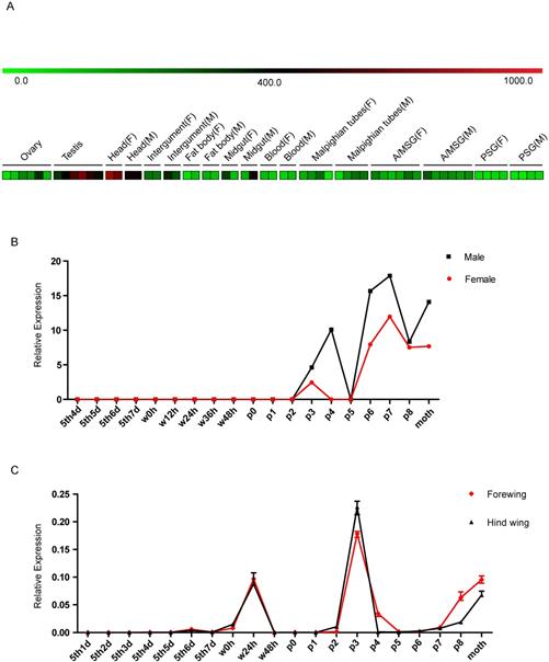 Int J Biol Sci Image