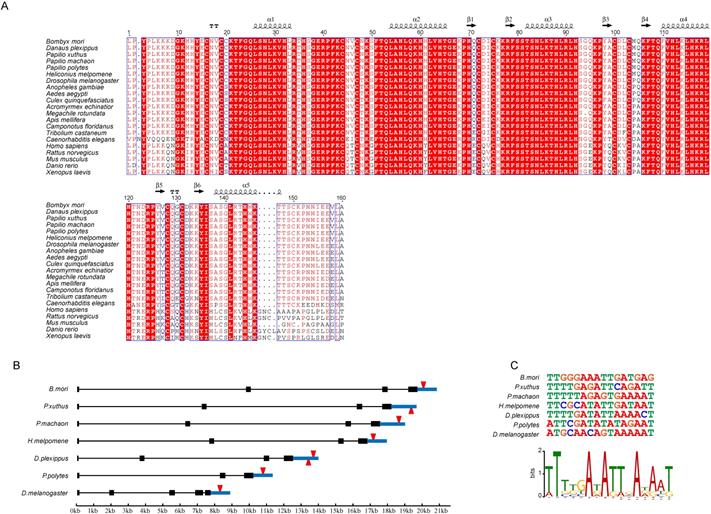 Int J Biol Sci Image