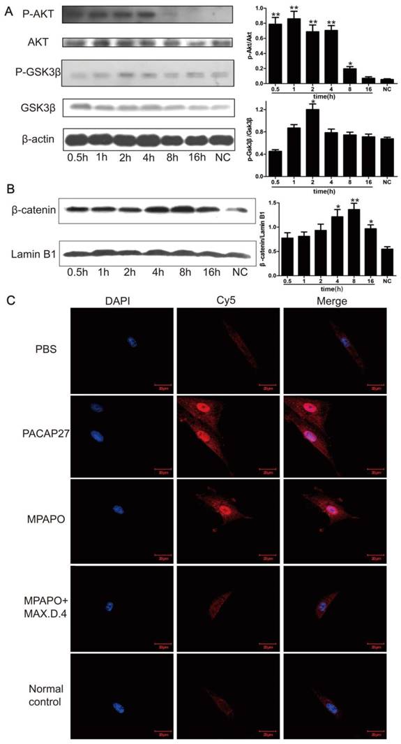 Int J Biol Sci Image