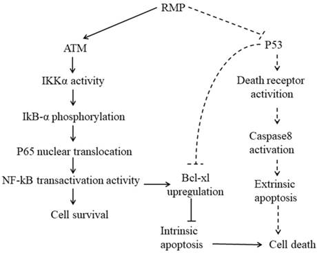 Int J Biol Sci Image