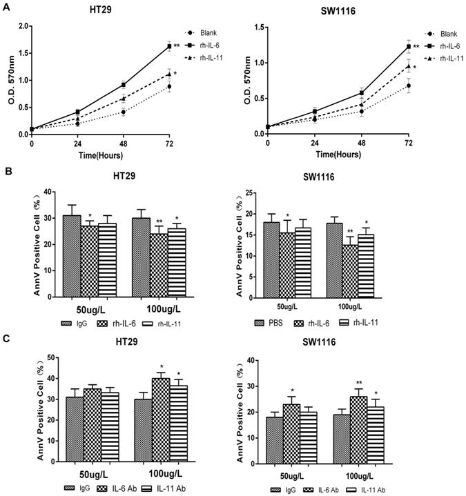 Int J Biol Sci Image