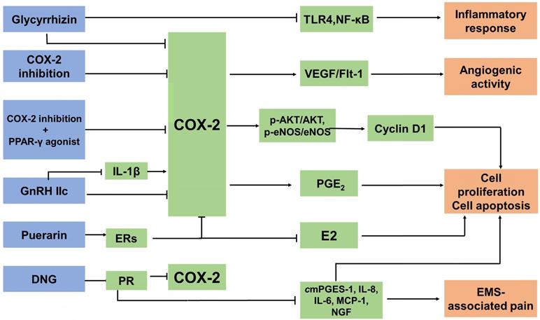 Int J Biol Sci Image