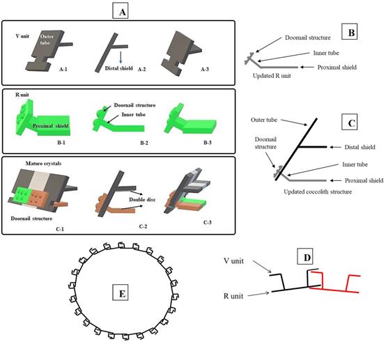 Int J Biol Sci Image