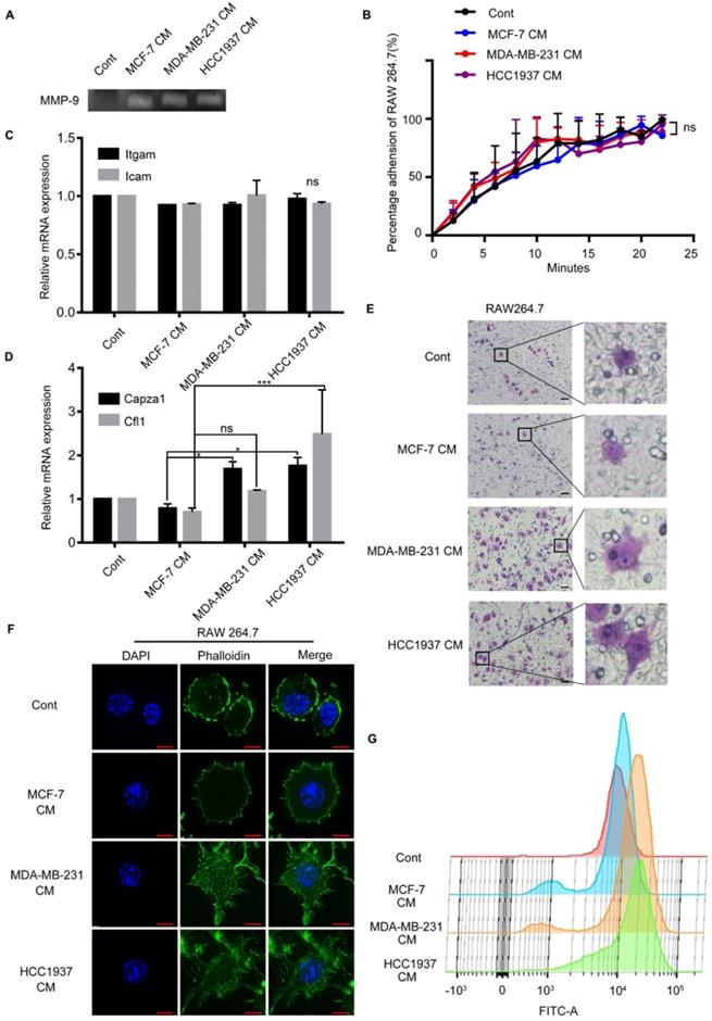 Int J Biol Sci Image