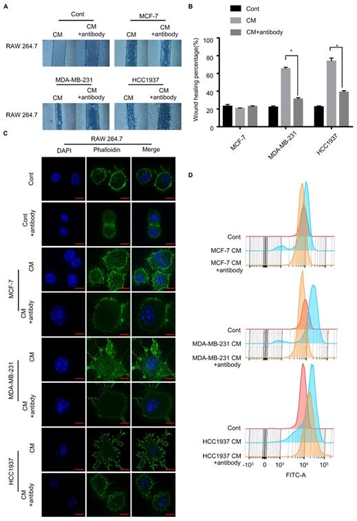 Int J Biol Sci Image