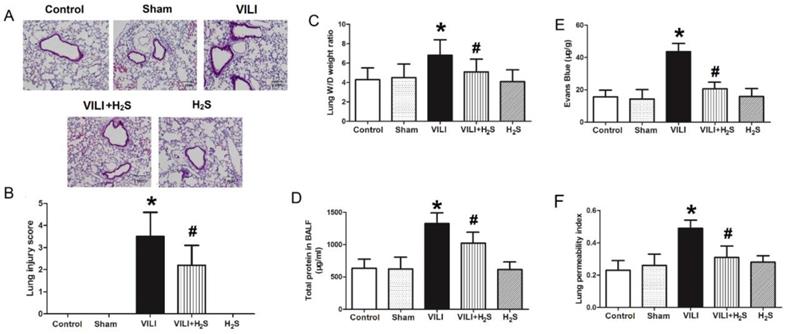 Int J Biol Sci Image