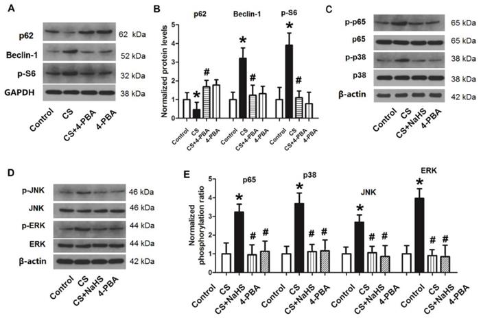 Int J Biol Sci Image