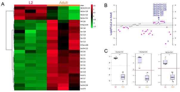 Int J Biol Sci Image