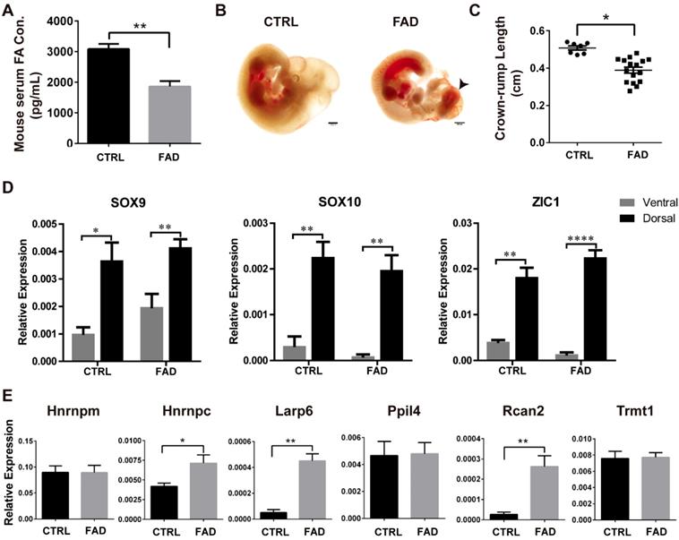 Int J Biol Sci Image