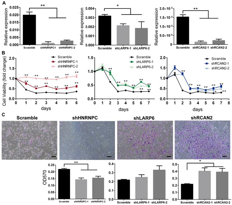 Int J Biol Sci Image