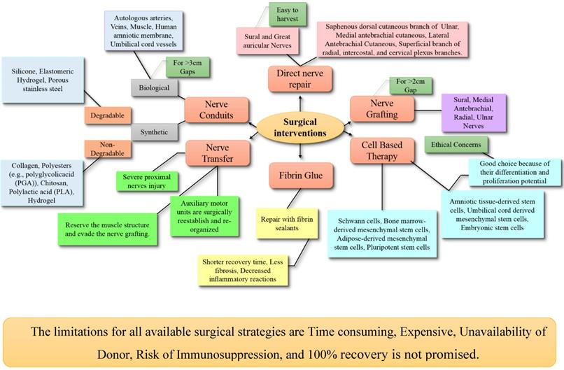 Int J Biol Sci Image