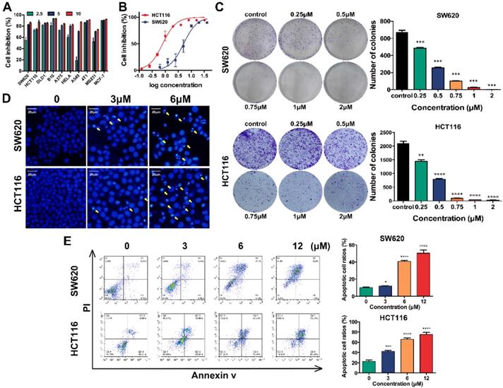 Int J Biol Sci Image