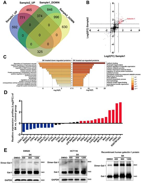 Int J Biol Sci Image