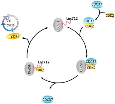 Int J Biol Sci Image