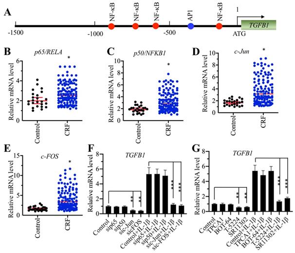 Int J Biol Sci Image