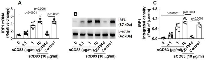 Int J Biol Sci Image