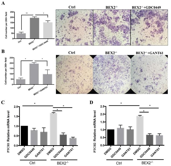 Int J Biol Sci Image