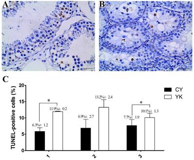 Int J Biol Sci Image