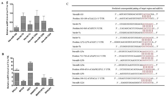 Int J Biol Sci Image