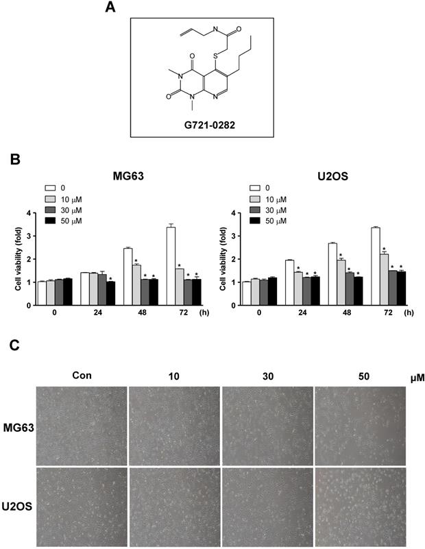 Int J Biol Sci Image